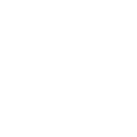 Steam